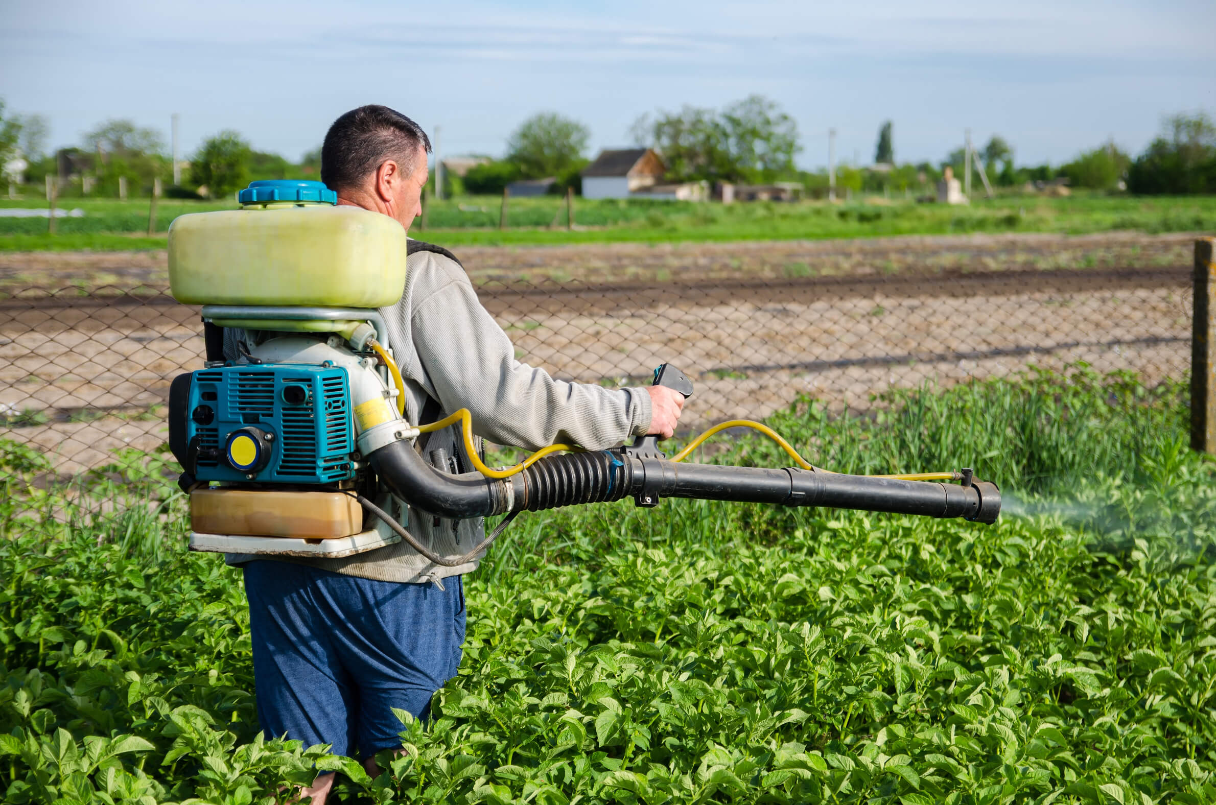 Pest control in hydroponic agriculture