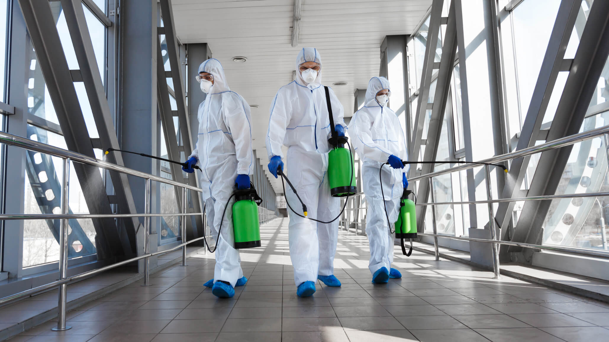 The art of pest control strategies for a pest free environment